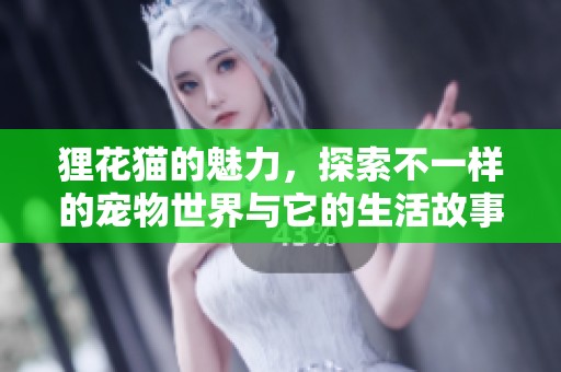 狸花猫的魅力，探索不一样的宠物世界与它的生活故事