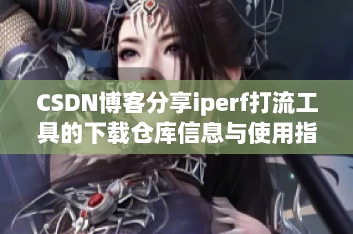 CSDN博客分享iperf打流工具的下载仓库信息与使用指南