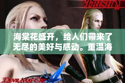 海棠花盛开，给人们带来了无尽的美好与感动。重温海棠花的芬芳与魅力。