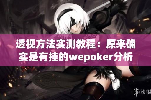 透视方法实测教程：原来确实是有挂的wepoker分析与解读