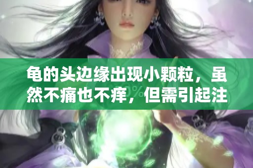龟的头边缘出现小颗粒，虽然不痛也不痒，但需引起注意