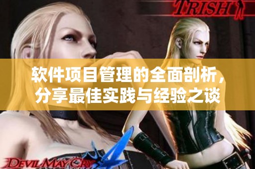 软件项目管理的全面剖析，分享最佳实践与经验之谈