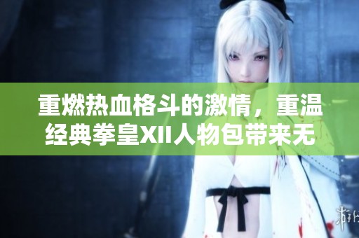 重燃热血格斗的激情，重温经典拳皇XII人物包带来无限乐趣!
