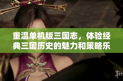 重温单机版三国志，体验经典三国历史的魅力和策略乐趣