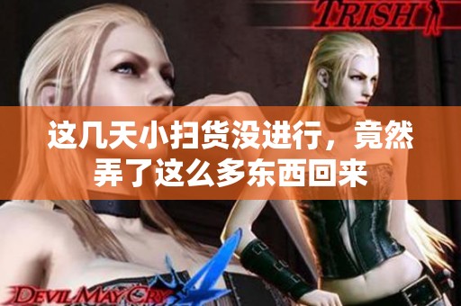 这几天小扫货没进行，竟然弄了这么多东西回来