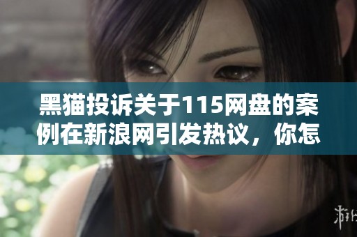 黑猫投诉关于115网盘的案例在新浪网引发热议，你怎么看待这个问题呢