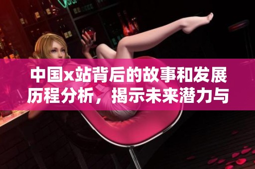 中国x站背后的故事和发展历程分析，揭示未来潜力与挑战