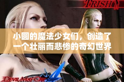 小圆的魔法少女们，创造了一个壮丽而悲惨的奇幻世界
