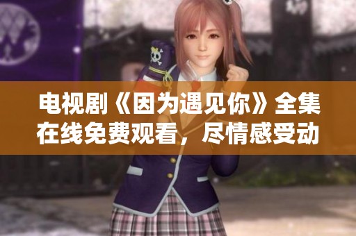 电视剧《因为遇见你》全集在线免费观看，尽情感受动人故事与精彩演绎