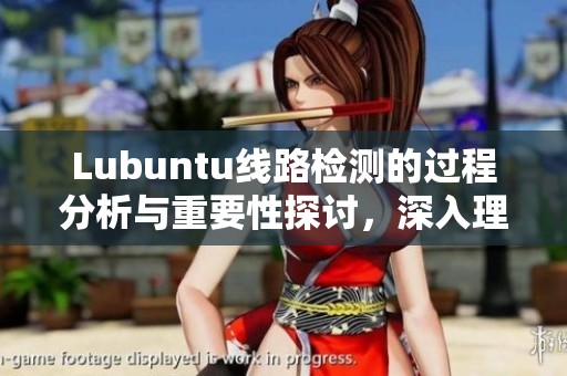 Lubuntu线路检测的过程分析与重要性探讨，深入理解这一技术的应用与效果