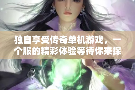 独自享受传奇单机游戏，一个服的精彩体验等待你来探索