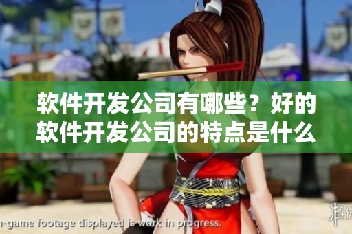 软件开发公司有哪些？好的软件开发公司的特点是什么呢？