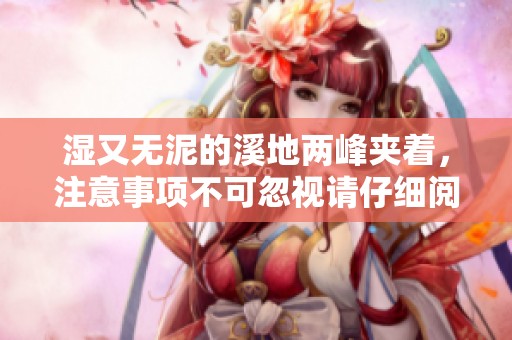 湿又无泥的溪地两峰夹着，注意事项不可忽视请仔细阅读
