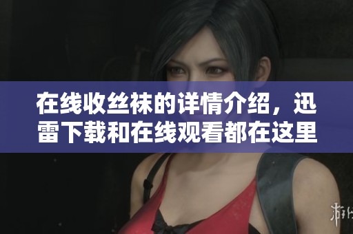 在线收丝袜的详情介绍，迅雷下载和在线观看都在这里等你来体验