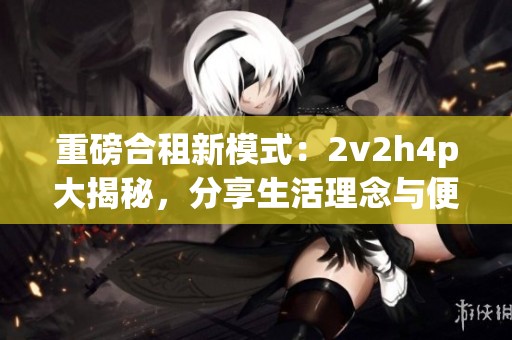 重磅合租新模式：2v2h4p大揭秘，分享生活理念与便利体验