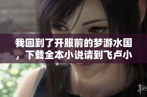 我回到了开服前的梦游水国，下载全本小说请到飞卢小说网。