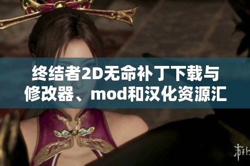 终结者2D无命补丁下载与修改器、mod和汉化资源汇总