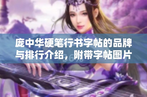 庞中华硬笔行书字帖的品牌与排行介绍，附带字帖图片展示