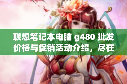 联想笔记本电脑 g480 批发价格与促销活动介绍，尽在联想笔记本电脑 g480 专区