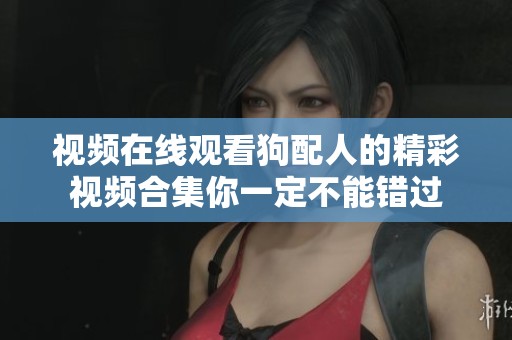视频在线观看狗配人的精彩视频合集你一定不能错过