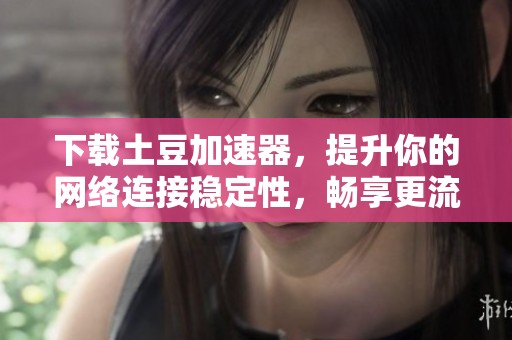 下载土豆加速器，提升你的网络连接稳定性，畅享更流畅的游戏体验！