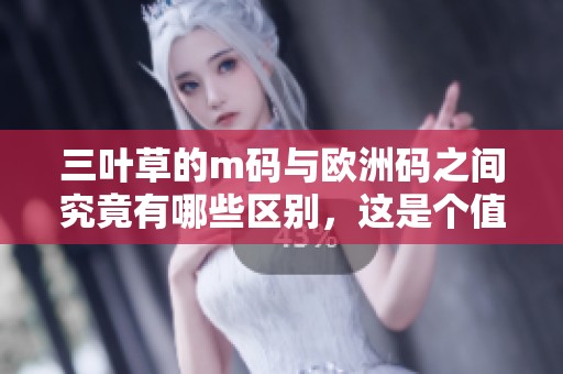 三叶草的m码与欧洲码之间究竟有哪些区别，这是个值得探讨的问题。