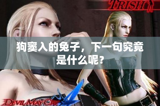 狗窦入的兔子，下一句究竟是什么呢？