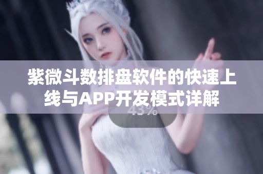 紫微斗数排盘软件的快速上线与APP开发模式详解