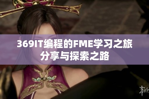 369IT编程的FME学习之旅分享与探索之路