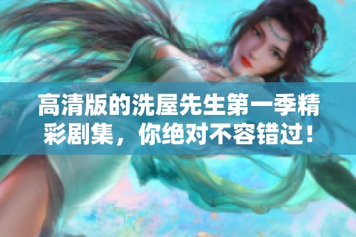 高清版的洗屋先生第一季精彩剧集，你绝对不容错过！
