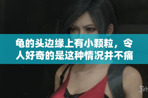龟的头边缘上有小颗粒，令人好奇的是这种情况并不痛也不痒