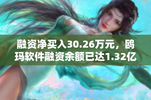 融资净买入30.26万元，鸥玛软件融资余额已达1.32亿元（04-30）
