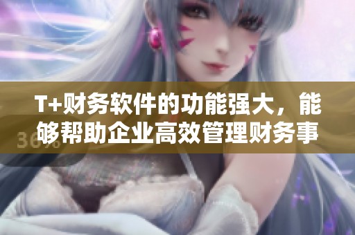 T+财务软件的功能强大，能够帮助企业高效管理财务事务