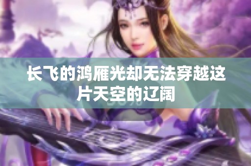 长飞的鸿雁光却无法穿越这片天空的辽阔