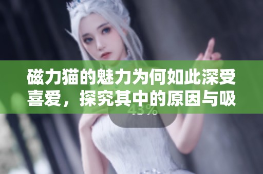 磁力猫的魅力为何如此深受喜爱，探究其中的原因与吸引力